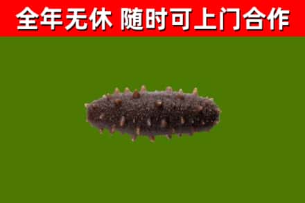 南沙区烟酒回收干海参.jpg